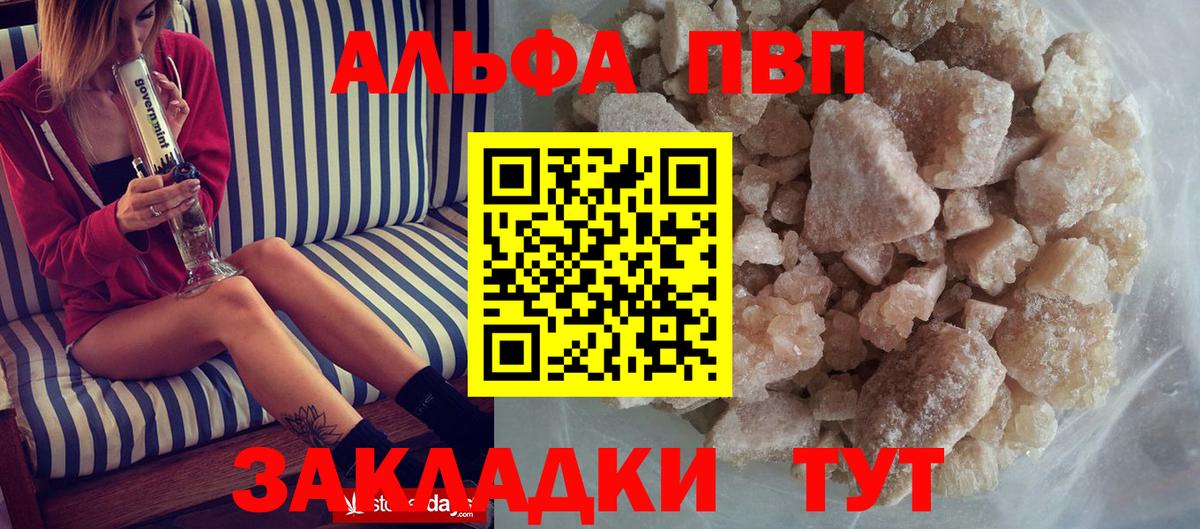Alfa_PVP СК Майкоп